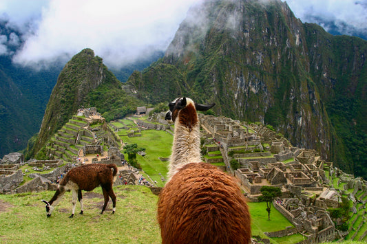 7-wonders-of-the-world