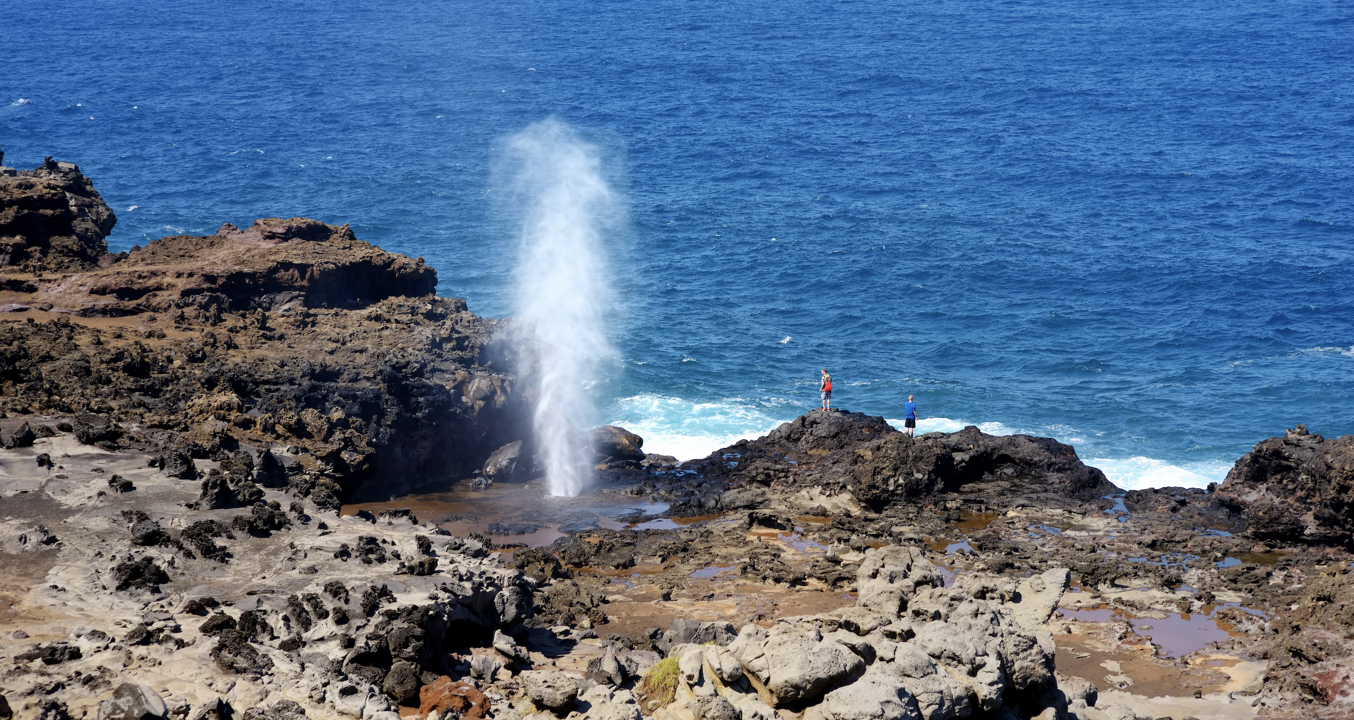 Maui Travel Tour 501