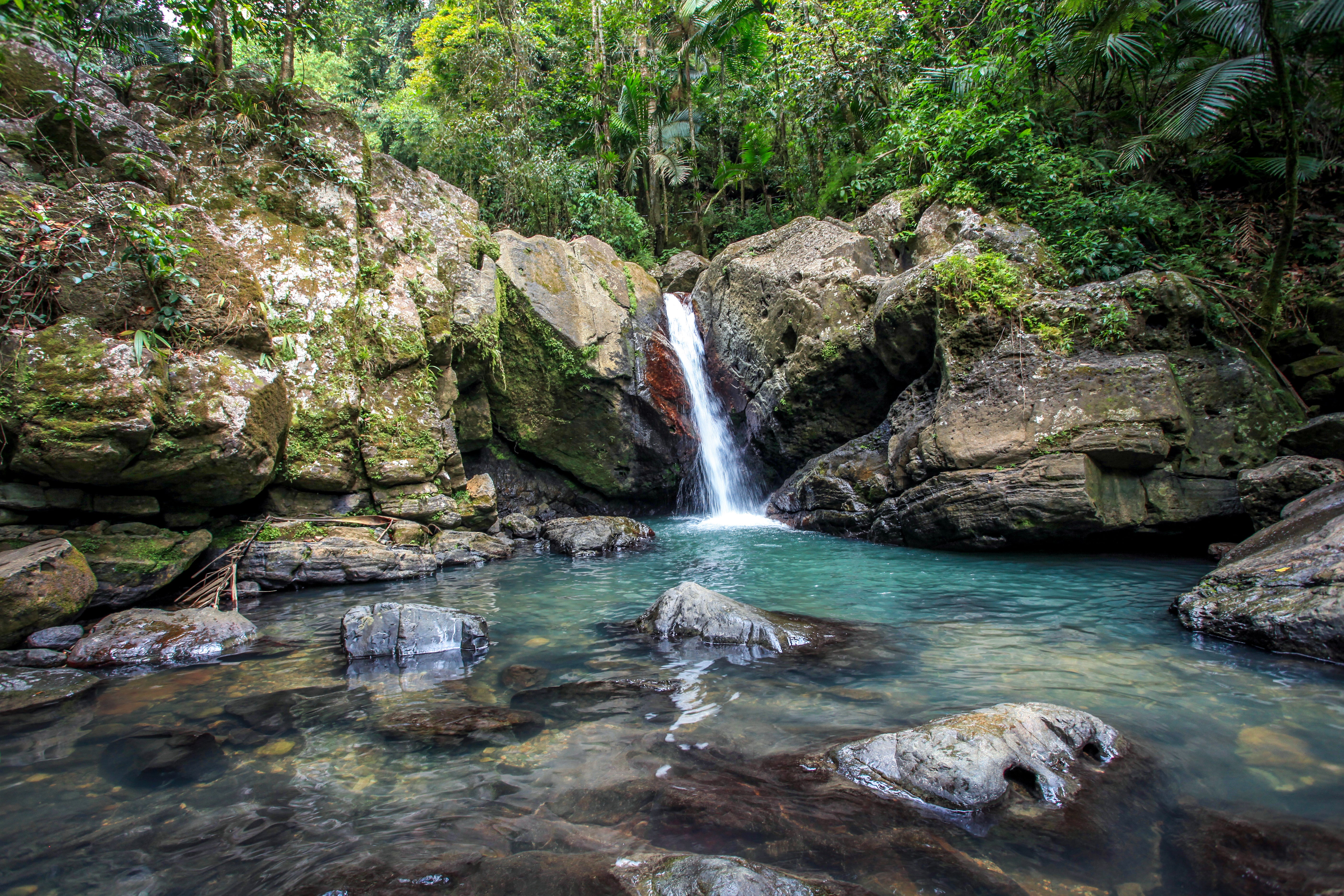 Yunque and Zipline Tour