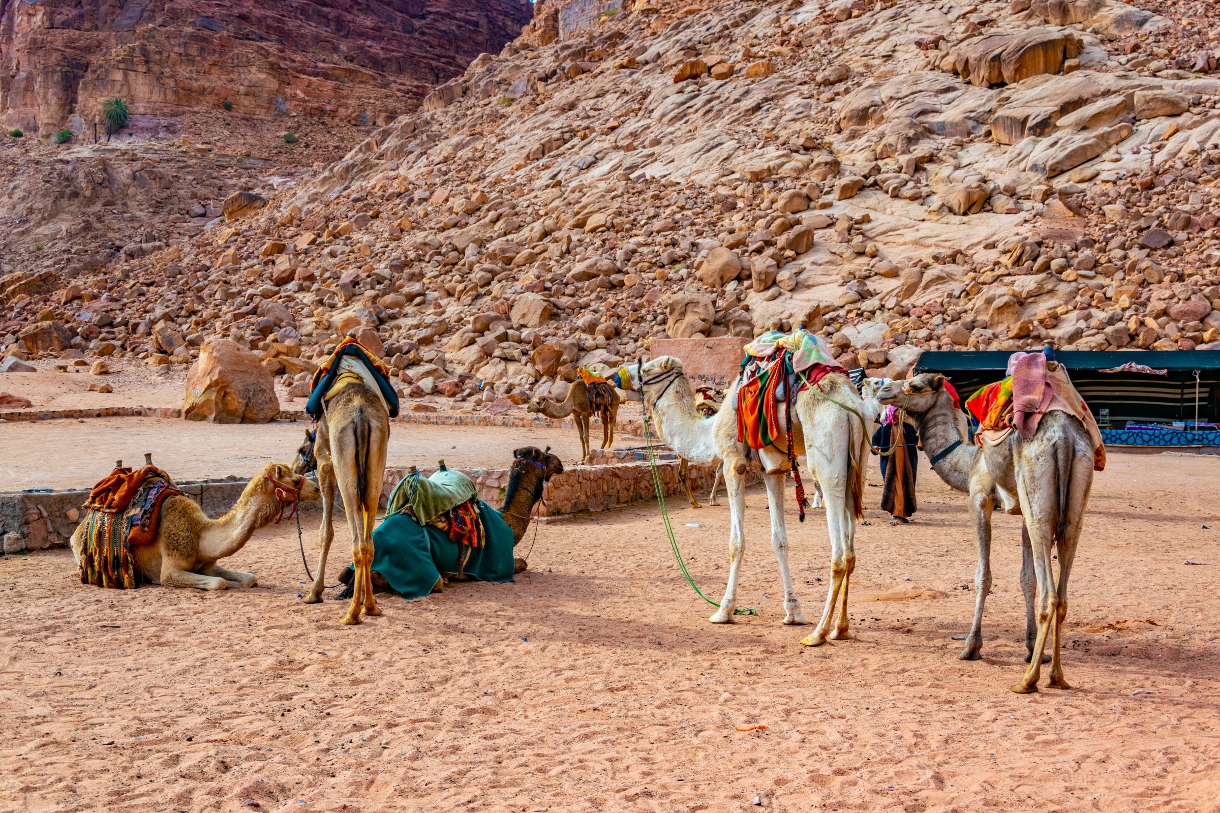 Holy Land Jerusalem and Petra Tour Several Dates 28