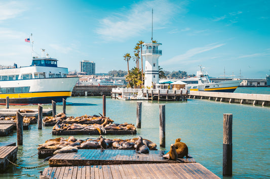 Fisherman's Wharf