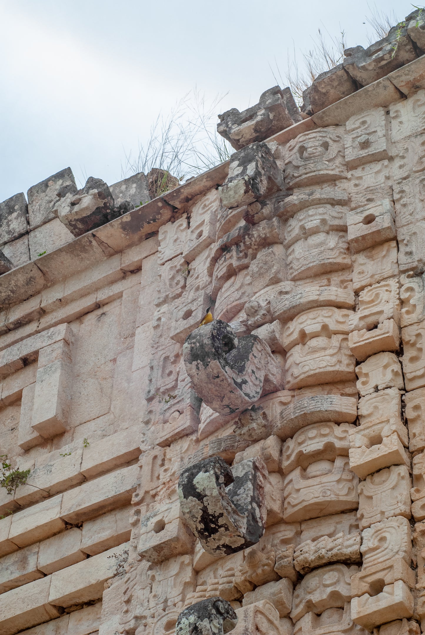 Playa Del Carmen-Tulum 82