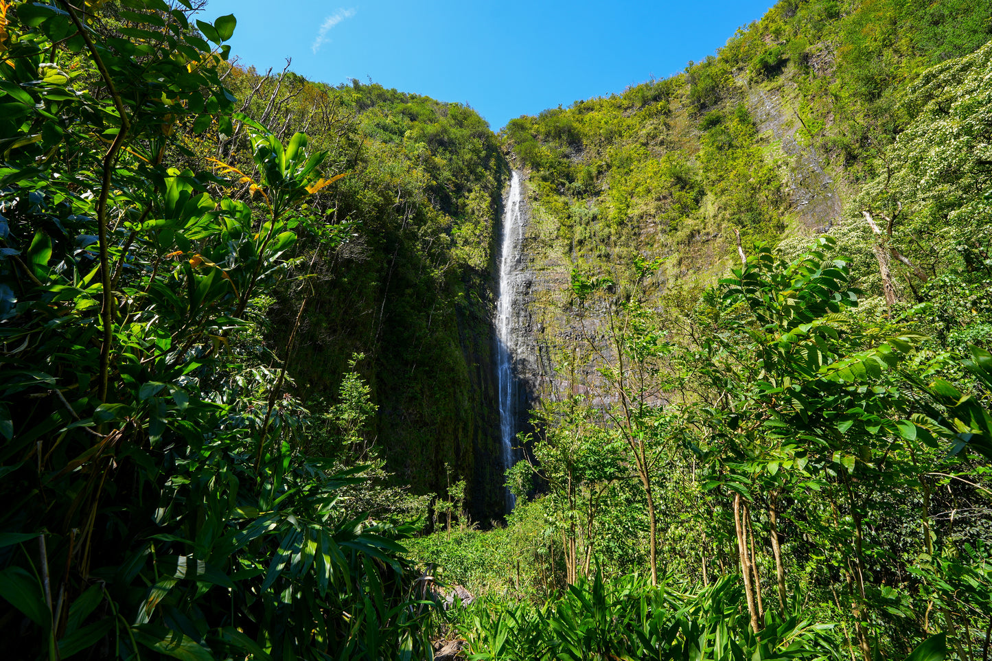 Maui Travel Tour 301