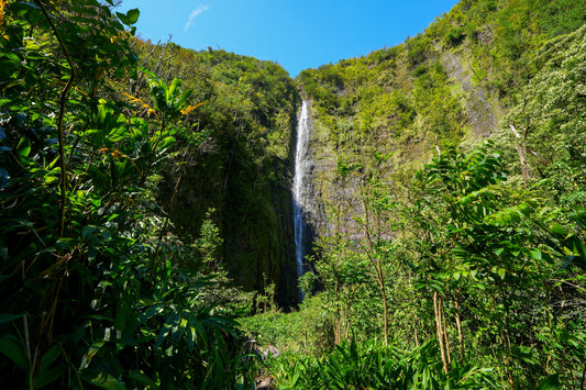 Maui Travel Tour 321