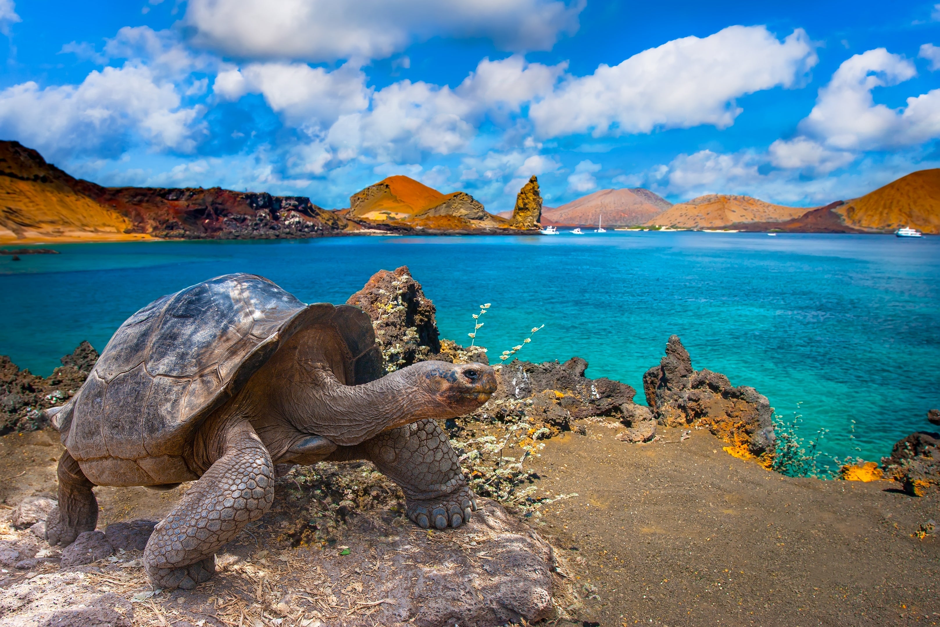 Easter Island and Galapagos Tour 240