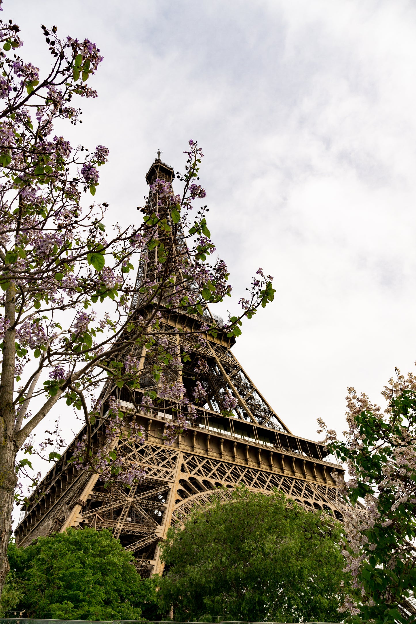 lunch at eiffel tower