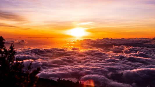Haleakala National Park