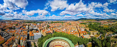 Optional Plaza de Toros Activity