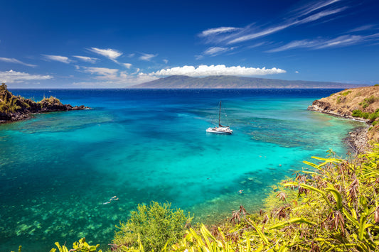 Maui Travel Tour 468