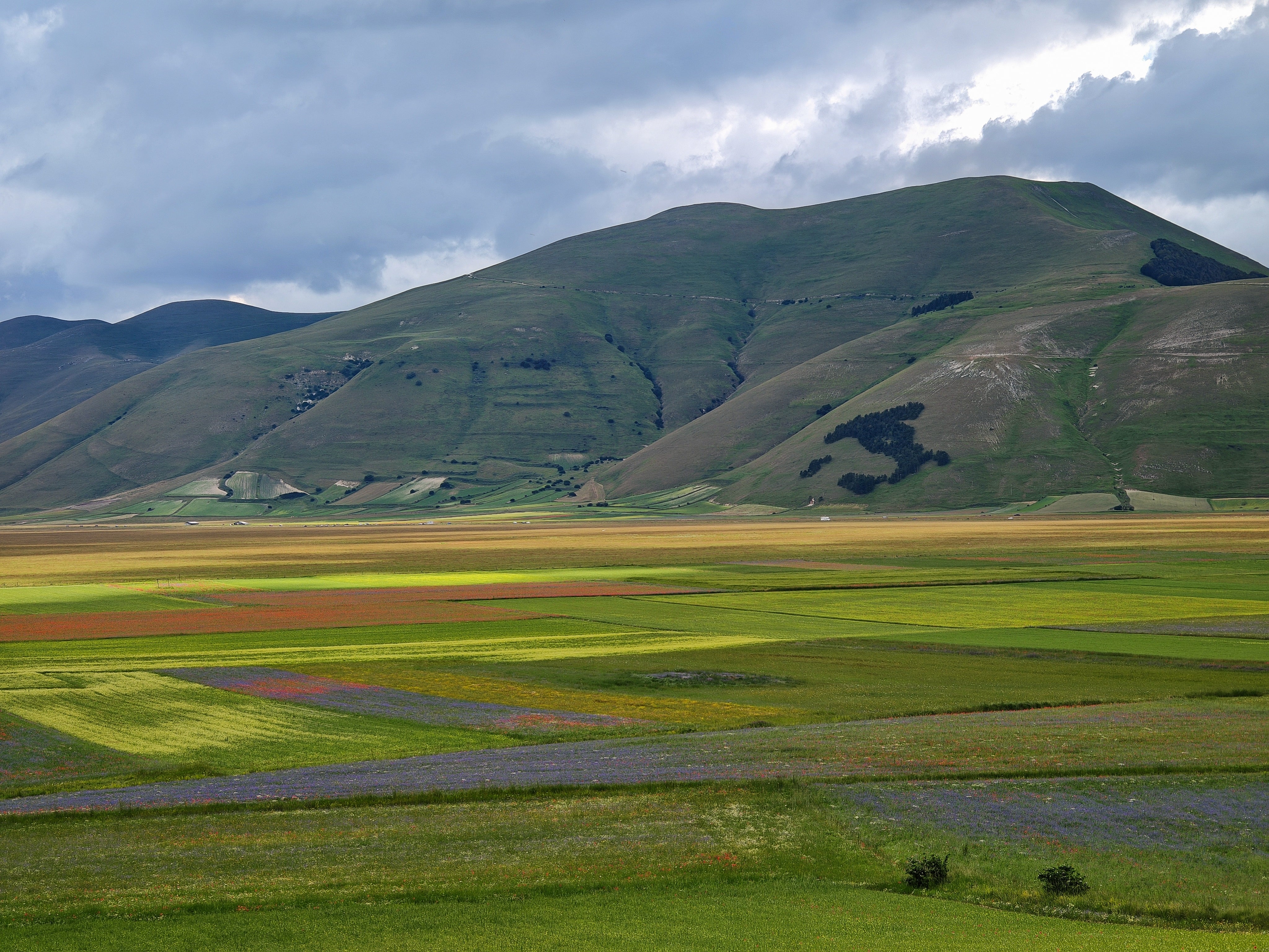 Norcia