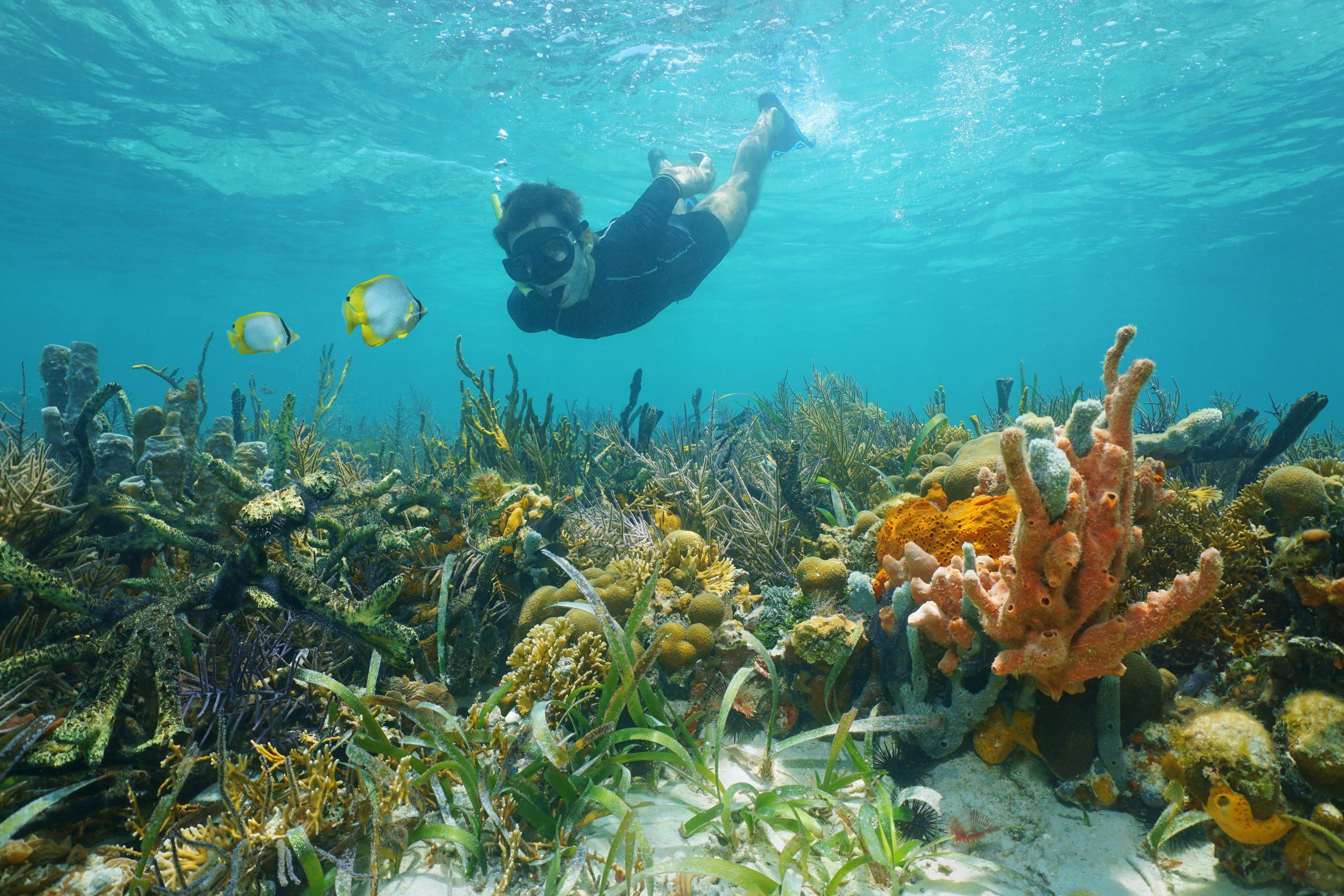 Snorkeling