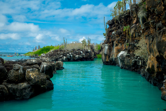 Galapagos Travel Tour 152