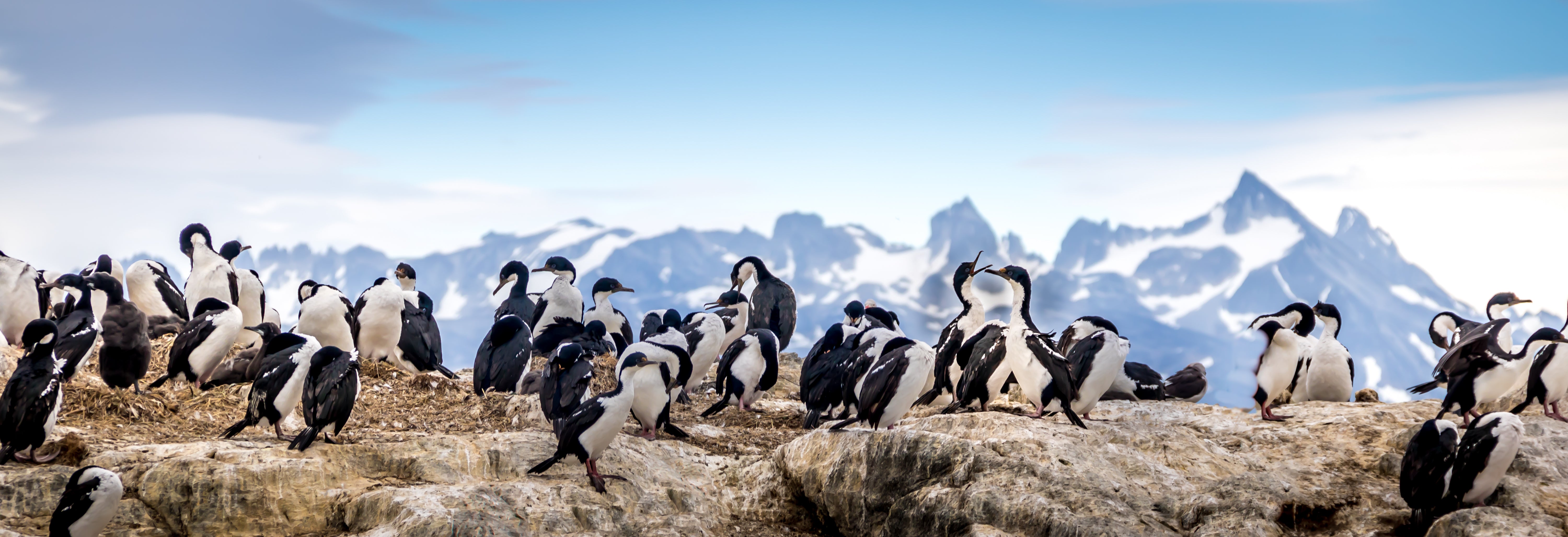 Patagonia Hiking Tour 84