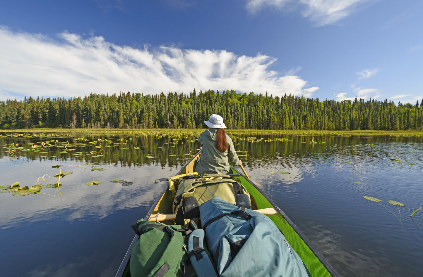 Kenai National Wildlife Refuge