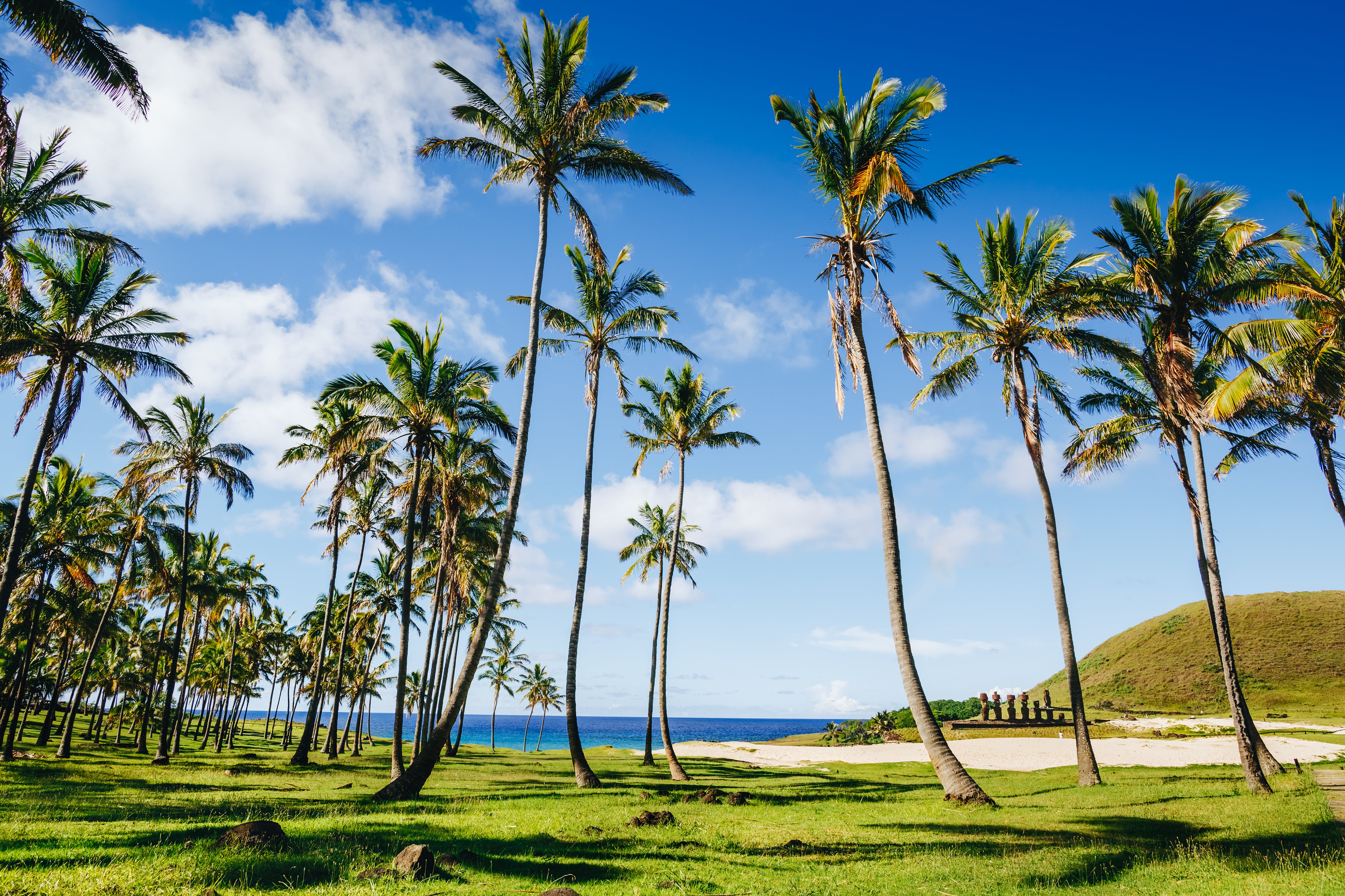 Easter Island Tour 241