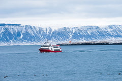 Whale Watching - Day 6 or 7 Luxury Yacht 637