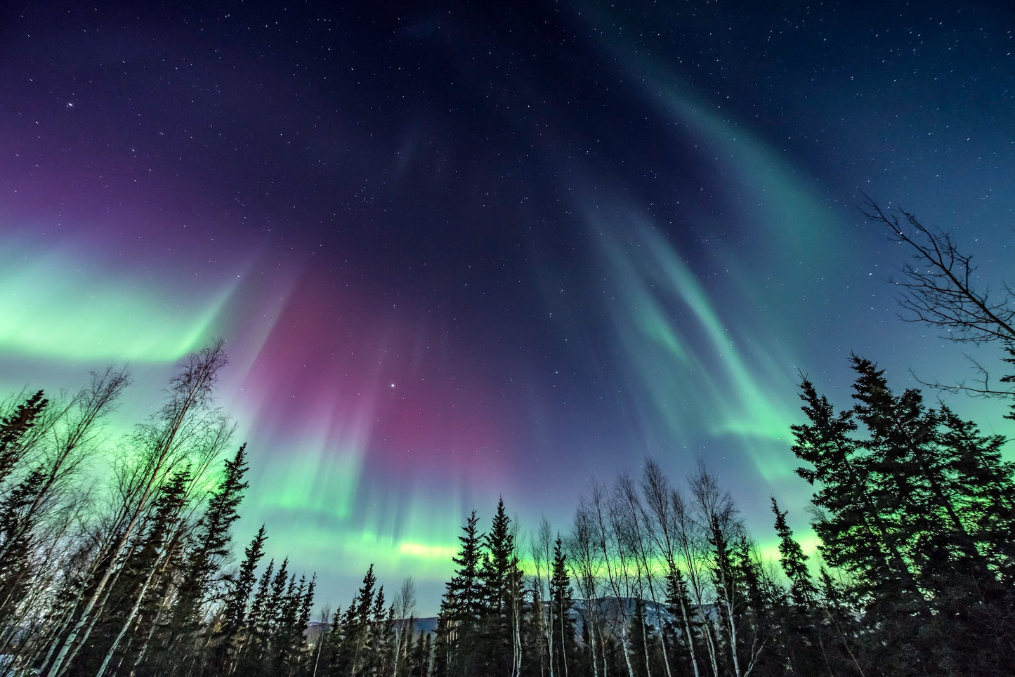 Fairbanks Northern Lights Tour 240