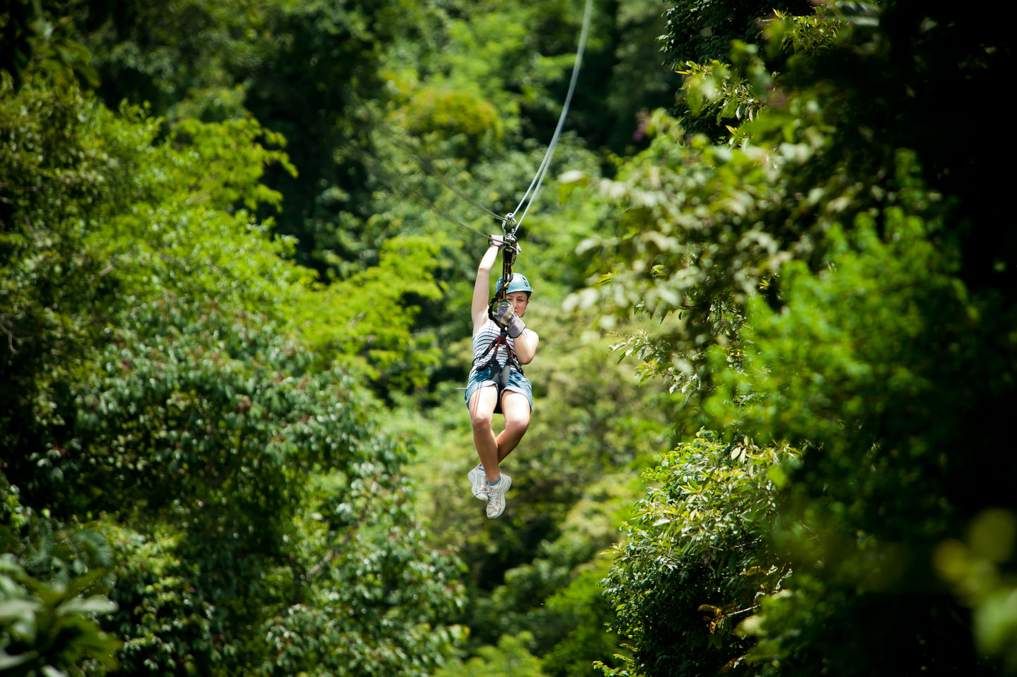 Zipline Tour