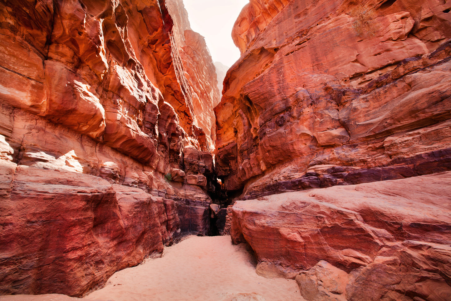 Holy Land Jerusalem and Petra Travel Tour 28