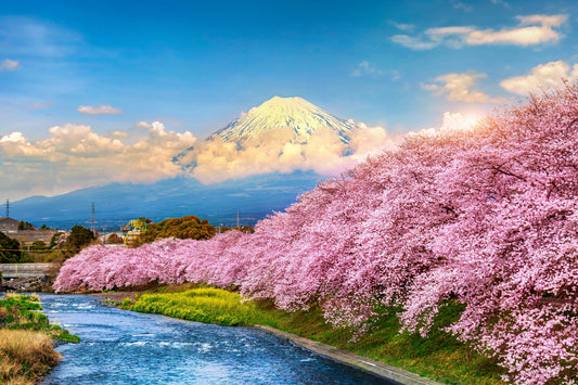 Japan Travel Tour 629